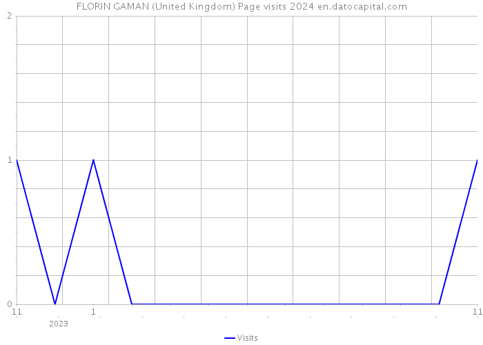 FLORIN GAMAN (United Kingdom) Page visits 2024 