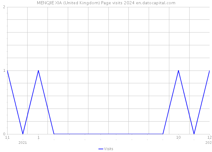 MENGJIE XIA (United Kingdom) Page visits 2024 