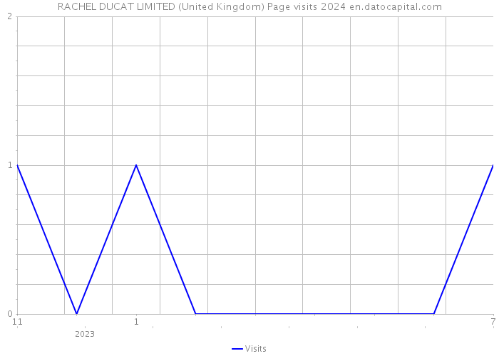 RACHEL DUCAT LIMITED (United Kingdom) Page visits 2024 