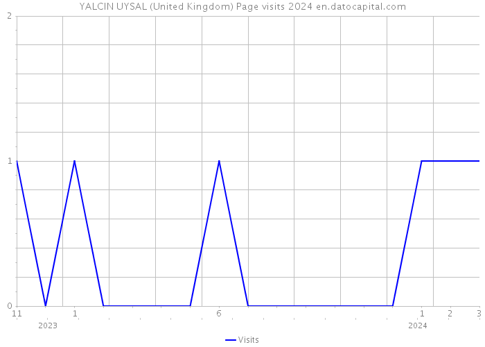 YALCIN UYSAL (United Kingdom) Page visits 2024 