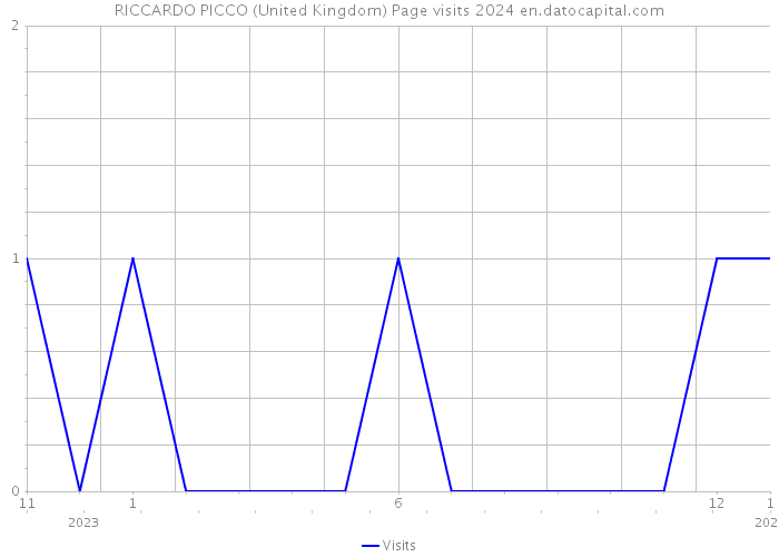 RICCARDO PICCO (United Kingdom) Page visits 2024 