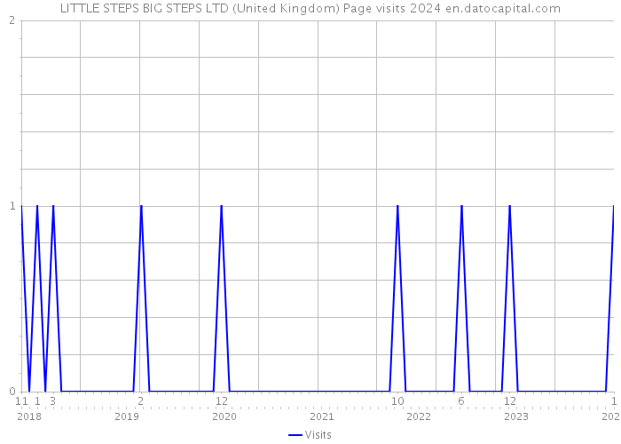 LITTLE STEPS BIG STEPS LTD (United Kingdom) Page visits 2024 