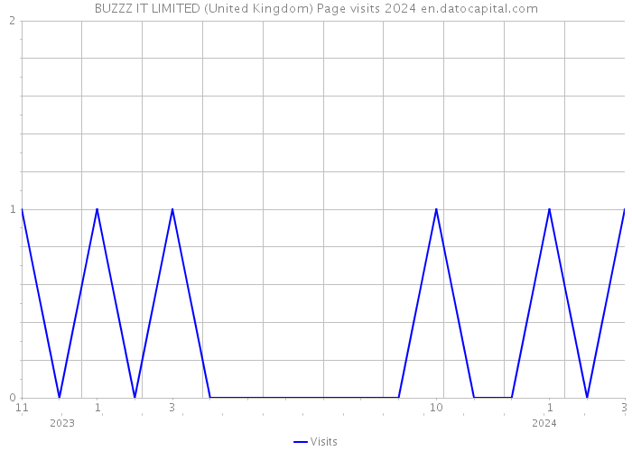 BUZZZ IT LIMITED (United Kingdom) Page visits 2024 