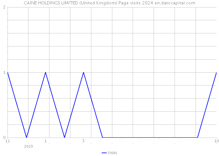 CAINE HOLDINGS LIMITED (United Kingdom) Page visits 2024 
