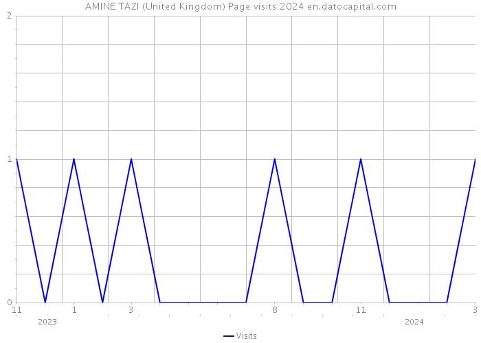 AMINE TAZI (United Kingdom) Page visits 2024 