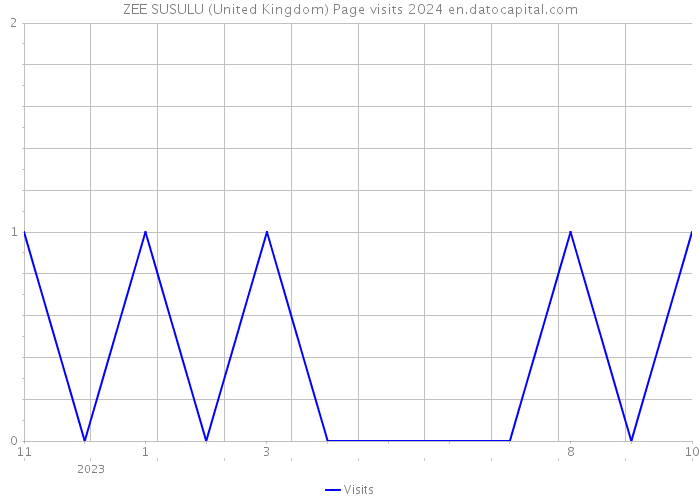 ZEE SUSULU (United Kingdom) Page visits 2024 
