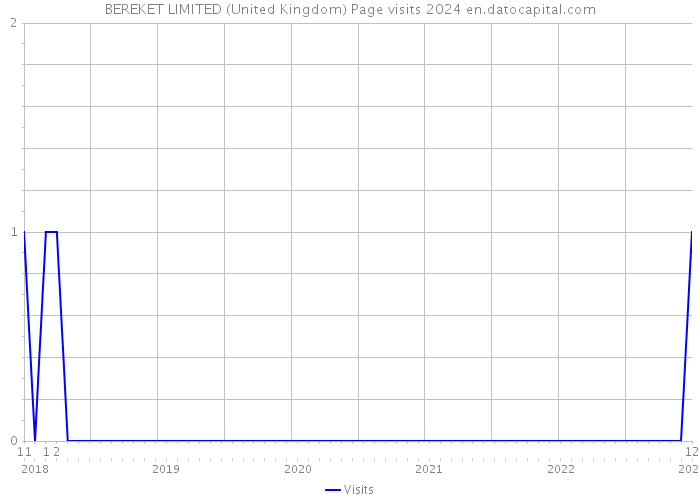 BEREKET LIMITED (United Kingdom) Page visits 2024 