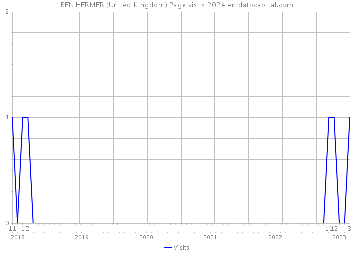 BEN HERMER (United Kingdom) Page visits 2024 