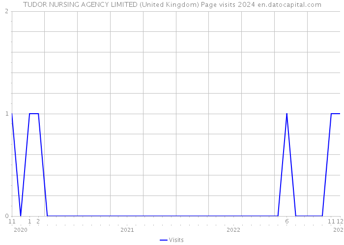 TUDOR NURSING AGENCY LIMITED (United Kingdom) Page visits 2024 