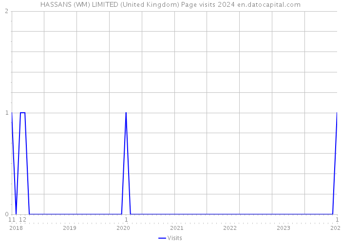 HASSANS (WM) LIMITED (United Kingdom) Page visits 2024 