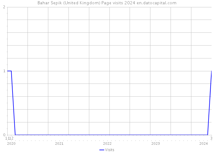 Bahar Sepik (United Kingdom) Page visits 2024 