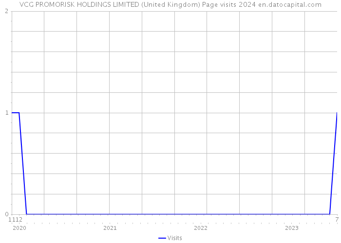 VCG PROMORISK HOLDINGS LIMITED (United Kingdom) Page visits 2024 