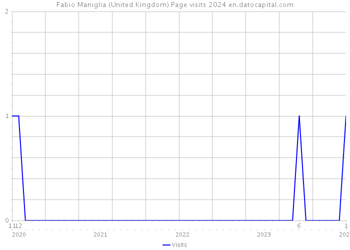 Fabio Maniglia (United Kingdom) Page visits 2024 