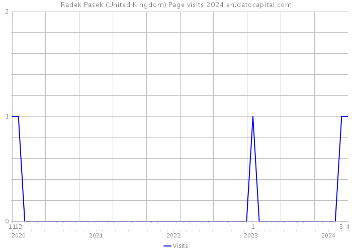 Radek Pasek (United Kingdom) Page visits 2024 
