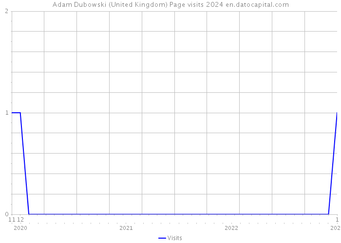 Adam Dubowski (United Kingdom) Page visits 2024 