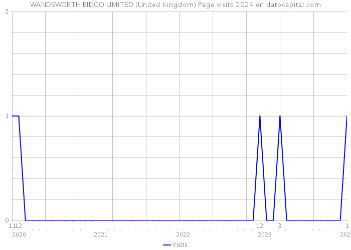 WANDSWORTH BIDCO LIMITED (United Kingdom) Page visits 2024 