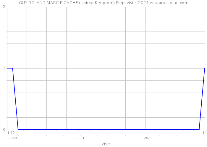 GUY ROLAND MARC PIGACHE (United Kingdom) Page visits 2024 
