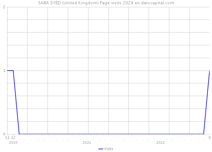 SABA SYED (United Kingdom) Page visits 2024 