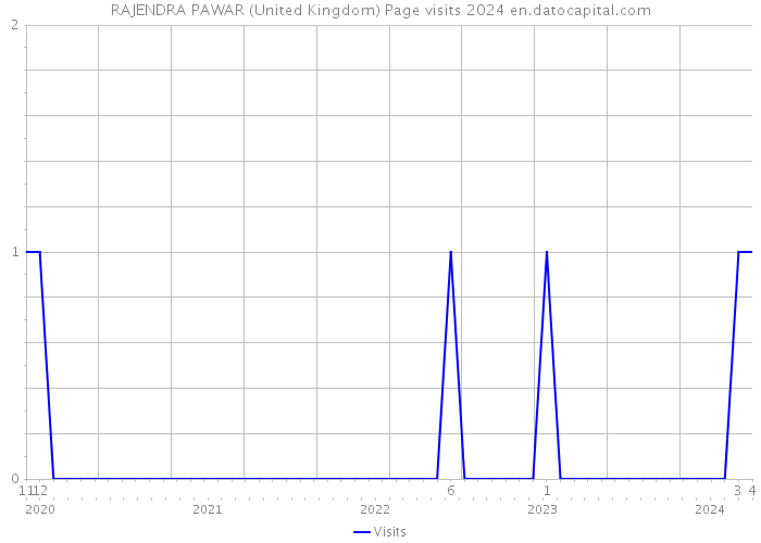 RAJENDRA PAWAR (United Kingdom) Page visits 2024 