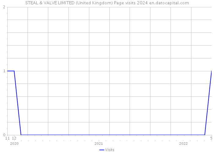 STEAL & VALVE LIMITED (United Kingdom) Page visits 2024 