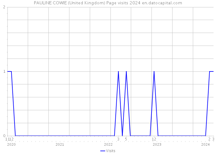 PAULINE COWIE (United Kingdom) Page visits 2024 