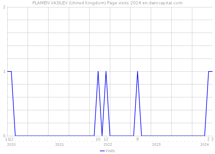 PLAMEN VASILEV (United Kingdom) Page visits 2024 