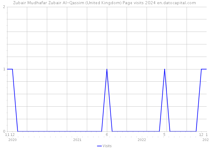 Zubair Mudhafar Zubair Al-Qassim (United Kingdom) Page visits 2024 