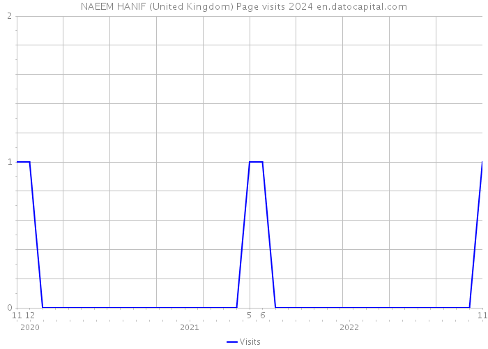 NAEEM HANIF (United Kingdom) Page visits 2024 