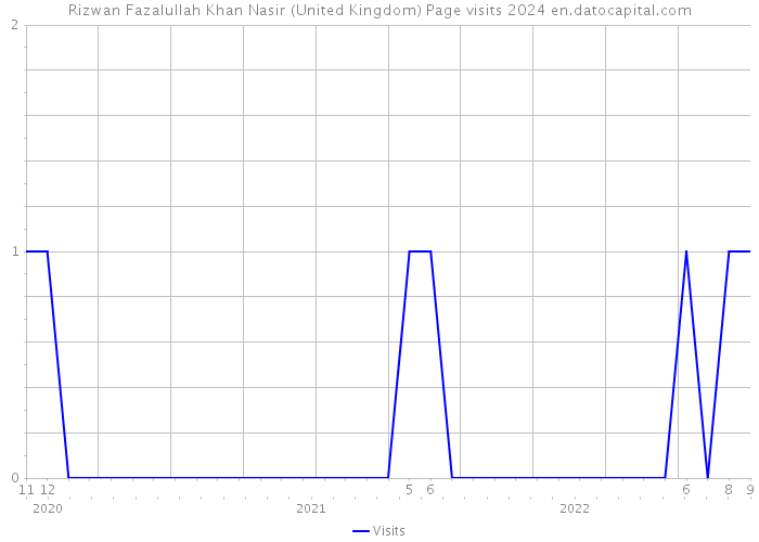 Rizwan Fazalullah Khan Nasir (United Kingdom) Page visits 2024 