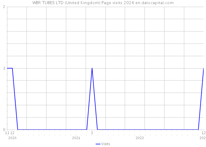 WBR TUBES LTD (United Kingdom) Page visits 2024 