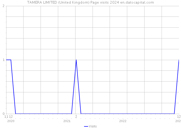 TAMERA LIMITED (United Kingdom) Page visits 2024 
