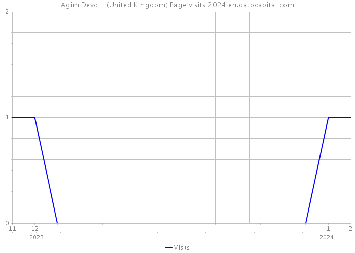 Agim Devolli (United Kingdom) Page visits 2024 