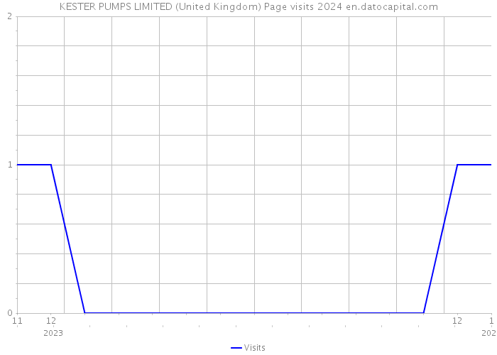 KESTER PUMPS LIMITED (United Kingdom) Page visits 2024 