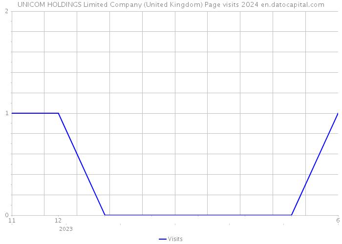 UNICOM HOLDINGS Limited Company (United Kingdom) Page visits 2024 