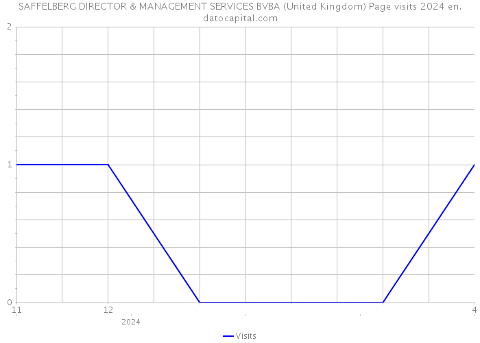 SAFFELBERG DIRECTOR & MANAGEMENT SERVICES BVBA (United Kingdom) Page visits 2024 