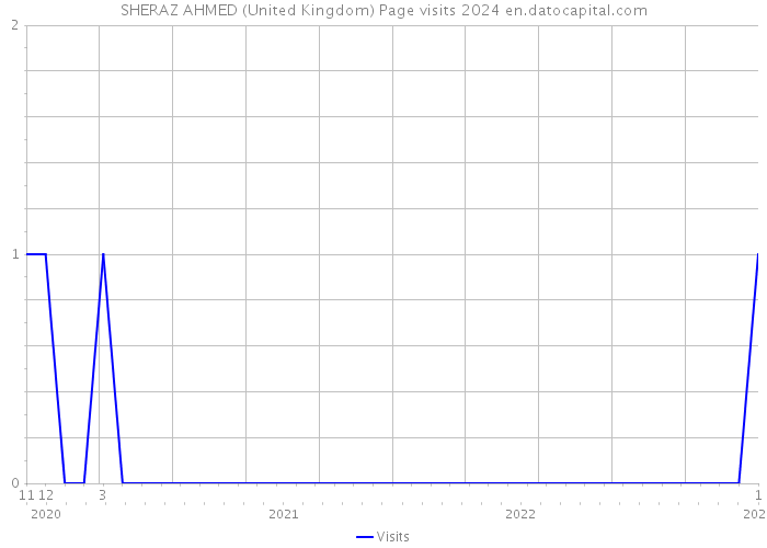 SHERAZ AHMED (United Kingdom) Page visits 2024 