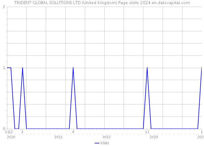 TRIDENT GLOBAL SOLUTIONS LTD (United Kingdom) Page visits 2024 
