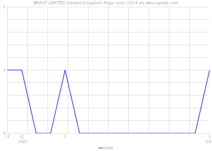 BRANT LIMITED (United Kingdom) Page visits 2024 