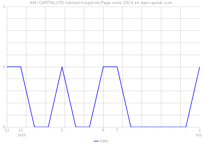 AM-CAPITAL LTD (United Kingdom) Page visits 2024 