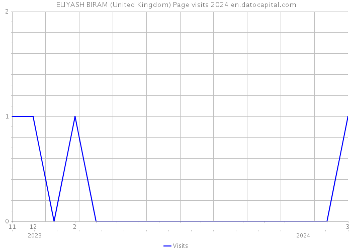 ELIYASH BIRAM (United Kingdom) Page visits 2024 