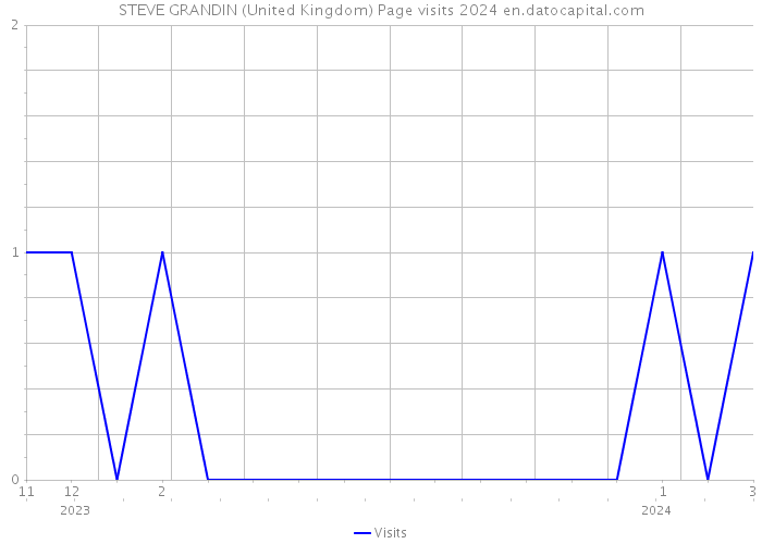 STEVE GRANDIN (United Kingdom) Page visits 2024 