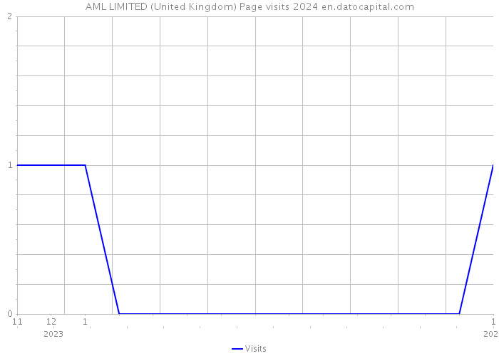 AML LIMITED (United Kingdom) Page visits 2024 