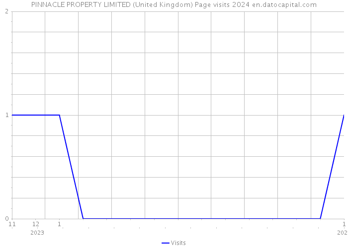 PINNACLE PROPERTY LIMITED (United Kingdom) Page visits 2024 
