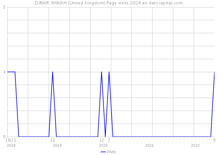 ZUBAIR SHAIKH (United Kingdom) Page visits 2024 