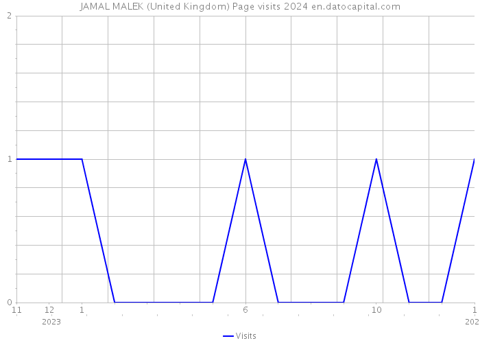 JAMAL MALEK (United Kingdom) Page visits 2024 