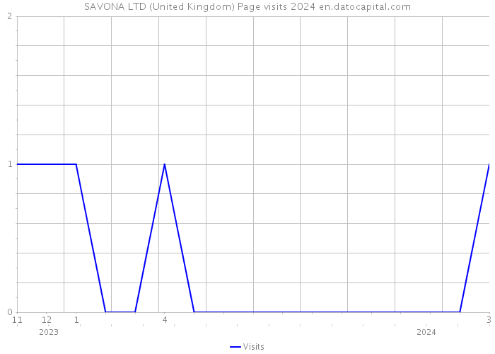 SAVONA LTD (United Kingdom) Page visits 2024 