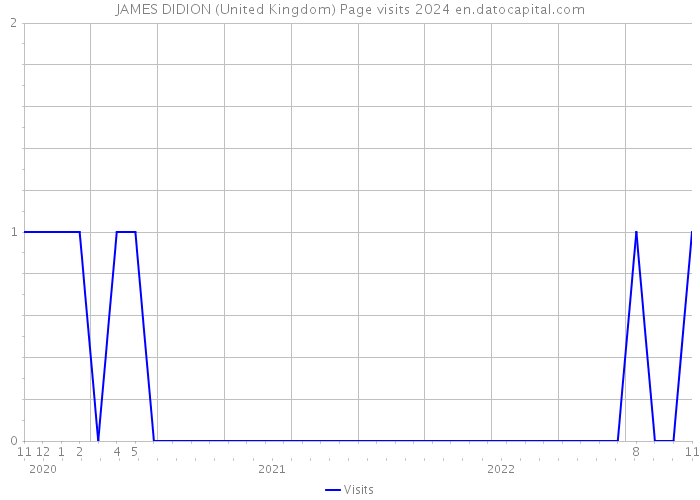 JAMES DIDION (United Kingdom) Page visits 2024 