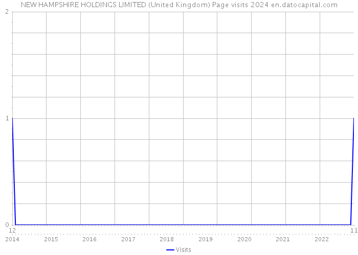 NEW HAMPSHIRE HOLDINGS LIMITED (United Kingdom) Page visits 2024 