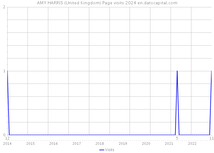 AMY HARRIS (United Kingdom) Page visits 2024 