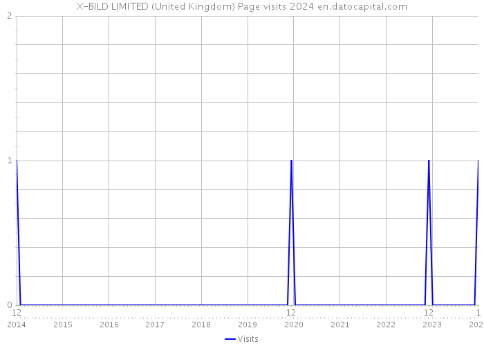 X-BILD LIMITED (United Kingdom) Page visits 2024 